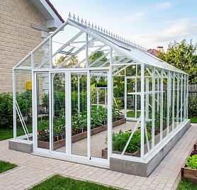 БИОНИКА Классик