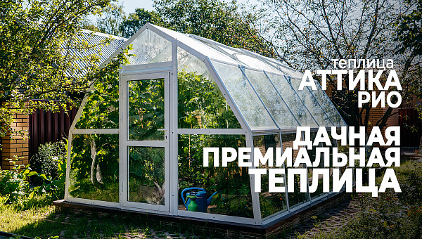 Теплица АТТИКА РИО для вашей дачи
